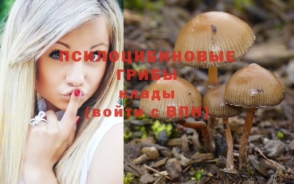 кокаин премиум Алексеевка