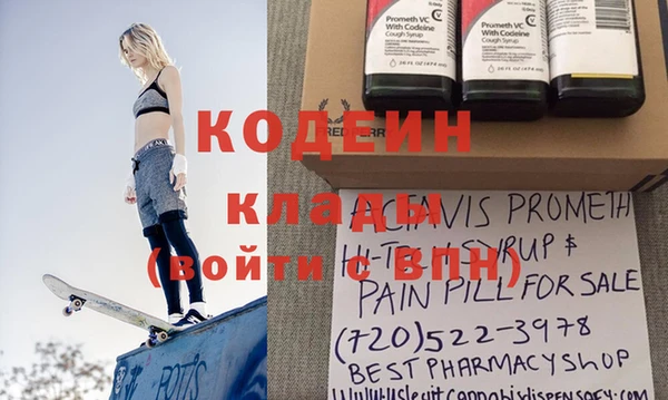 хмурый Алексин