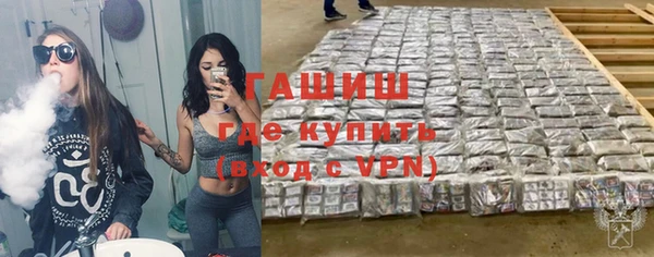 хмурый Алексин