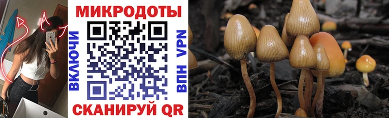 Псилоцибиновые грибы ЛСД  Лебедянь 